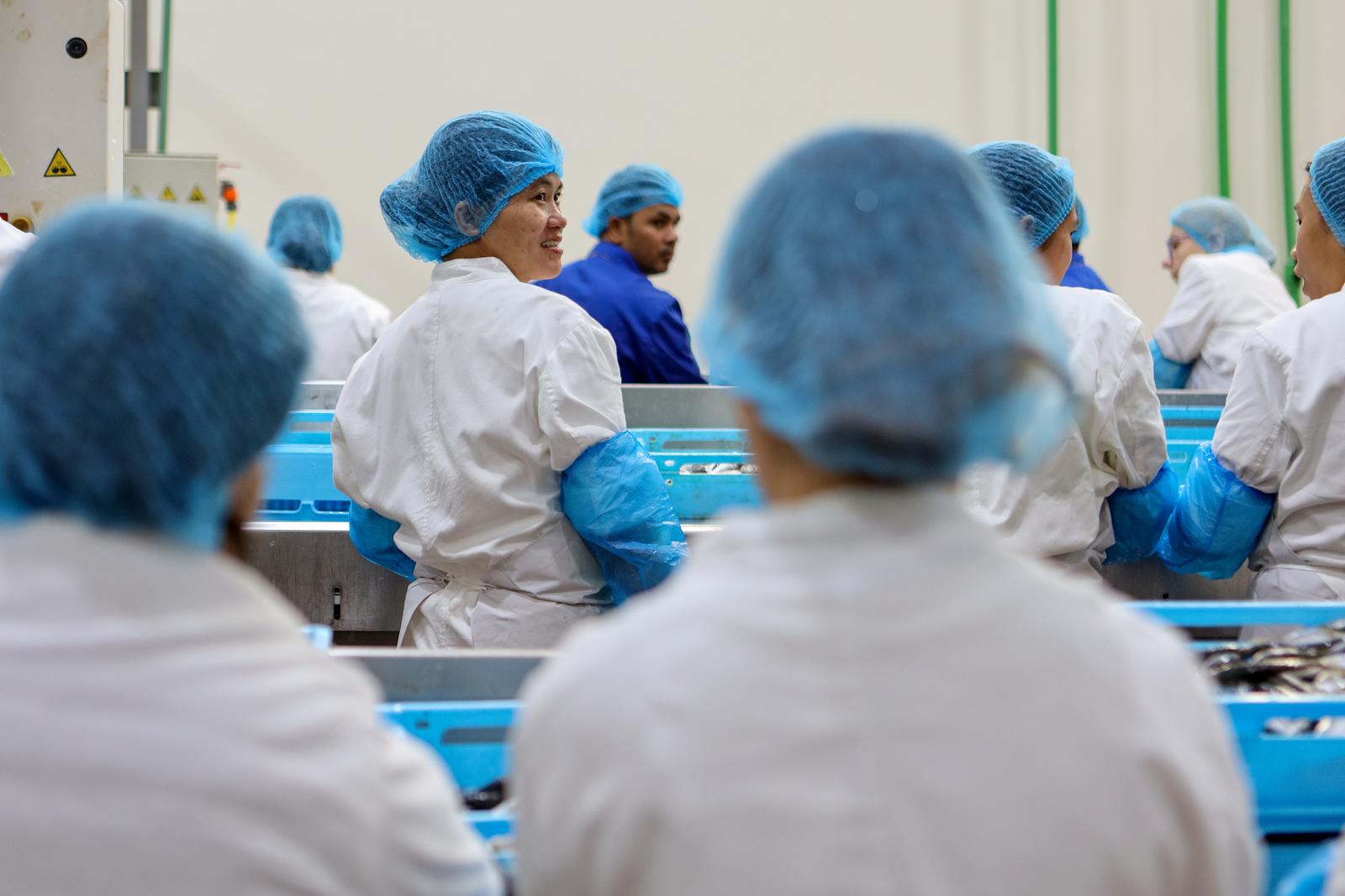 Predsjednik Milanović posjetio je tvrtku Mardešić u Salima