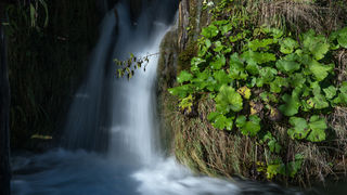 Boje jeseni na Plitvičkim jezerima