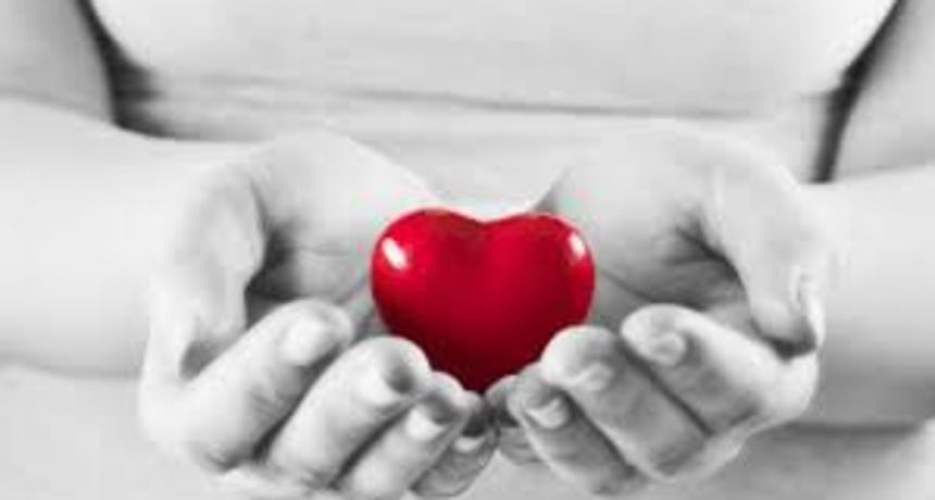 Srce, emocije, osjećaji, ljubav, humanitarna akcija Srce, emocije, osjećaji, ljubav, humanitarna akcija