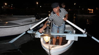 Sukosan: 40. Trka tovarov “Memorijal kenje Vijole” i 6. Noc svicarenja 8. kolovoza 2010. Sukosan: 40. Trka tovarov “Memorijal kenje Vijole” i 6. Noc svicarenja 8. kolovoza 2010.