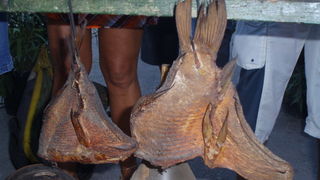 Materine uzance, Pakostabe 6.7.2008. Materine uzance, Pakostabe 6.7.2008.