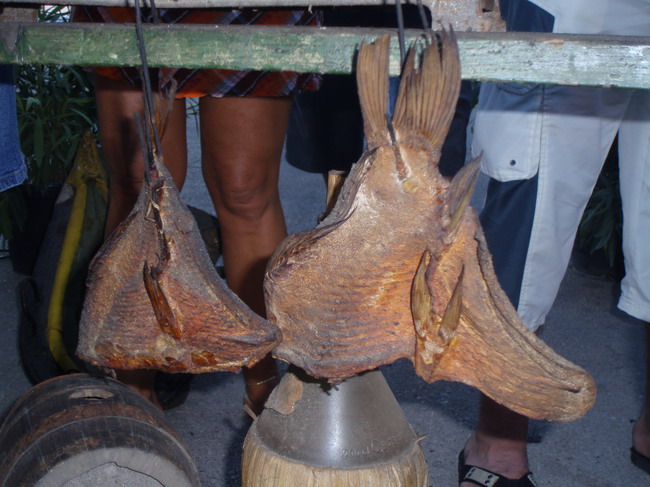 Materine uzance, Pakostabe 6.7.2008. Materine uzance, Pakostabe 6.7.2008.