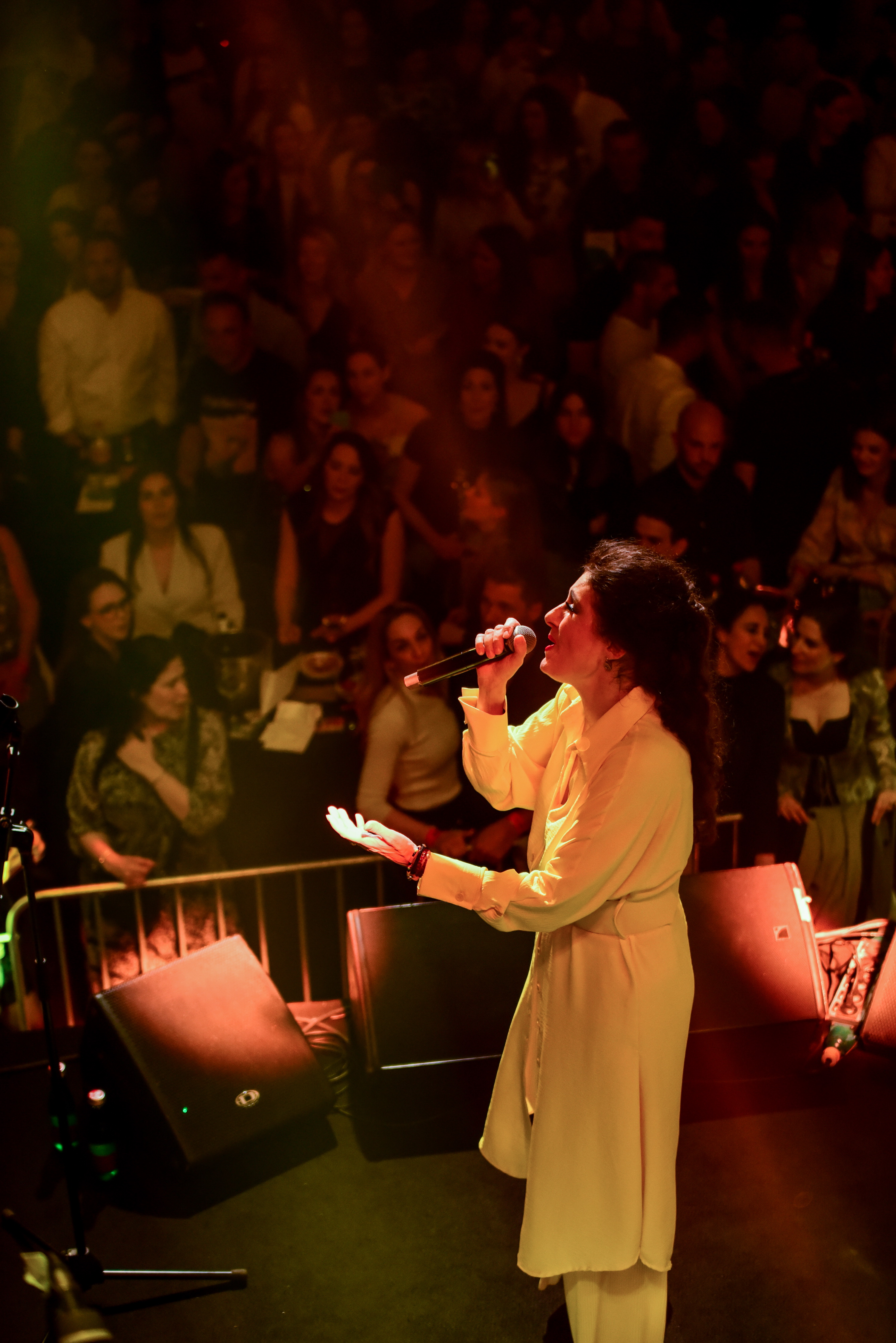 Doris Dragović sinoćnjim koncertom oduševila je Arsenalovu publiku