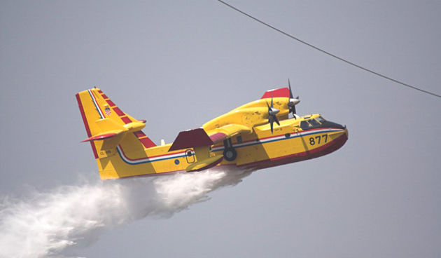 Image 1176743 (auto)