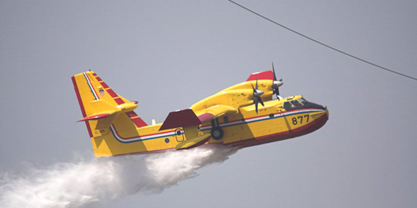 Image 1176743 (auto) Image 1176743 (auto)