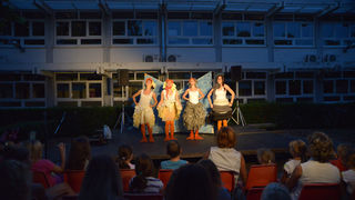 Ružno pače u izvedbi Dragon Teatra Ružno pače u izvedbi Dragon Teatra