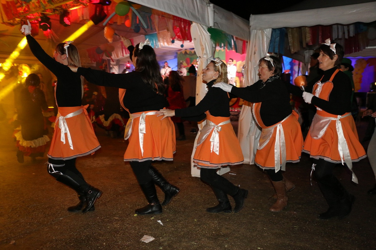 Virske maškare 2018: Defile maškaranih skupina i fešta uz “Koktelse”