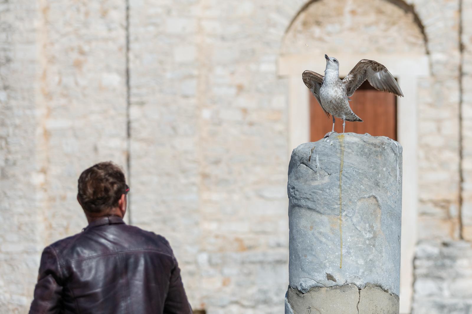 Sunčana nedjelja na zadarskim ulicama