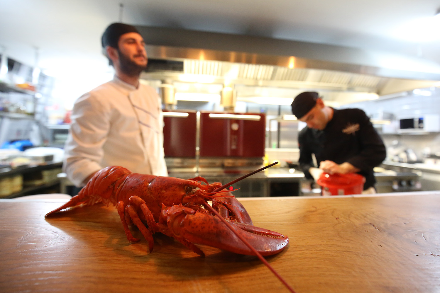 Prezentacija i degustcija Vina DEGARRA & Rakija Mashtel