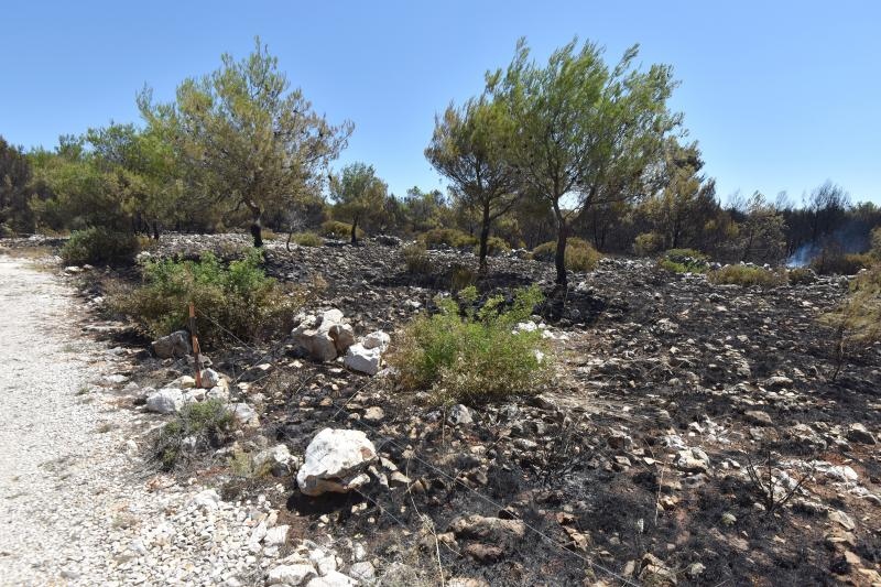 Vir: Požar u Lozicama u potpunosti ugašen Vir: Požar u Lozicama u potpunosti ugašen