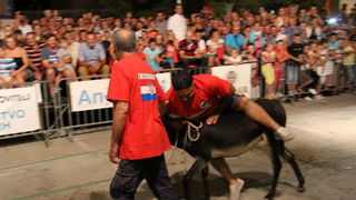 Tisno: Međunarodna trka tovarov 2013, Foto: Edin Kadić Tisno: Međunarodna trka tovarov 2013, Foto: Edin Kadić