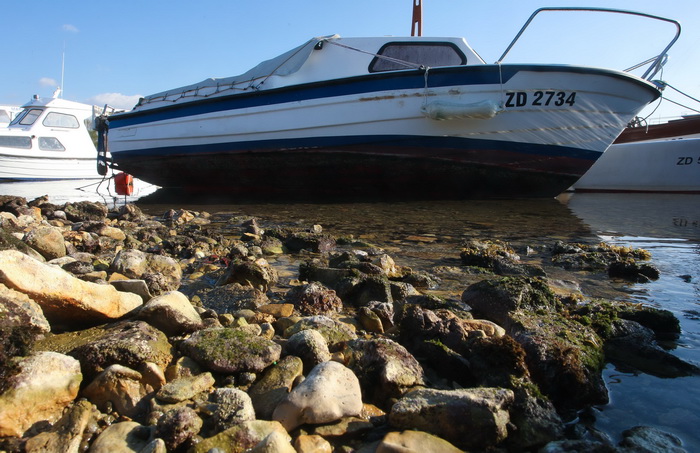 Zadar, 180112.
Velike plime i oseke, u ovom slucaju oseke, javljaju se u razdobljima punog mjeseca. Razina mora pala je za malo vise od pola metra sto i nije neki veliki problem osim sto su neke brodice ostale zarobljene u svojim lukama, a da isplove mora Zadar, 180112.
Velike plime i oseke, u ovom slucaju oseke, javljaju se u razdobljima punog mjeseca. Razina mora pala je za malo vise od pola metra sto i nije neki veliki problem osim sto su neke brodice ostale zarobljene u svojim lukama, a da isplove mora