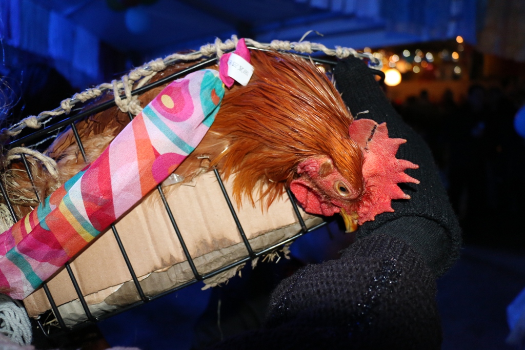 Nedjeljne maškare na Viru Nedjeljne maškare na Viru