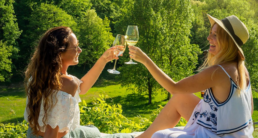 vino, alkohol, prijateljice, istra ilustracija, muškat vino, alkohol, prijateljice, istra ilustracija, muškat