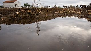Farma “Dar-mar” (foto:Saša Čuka)