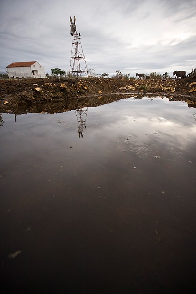 Farma “Dar-mar” (foto:Saša Čuka)
