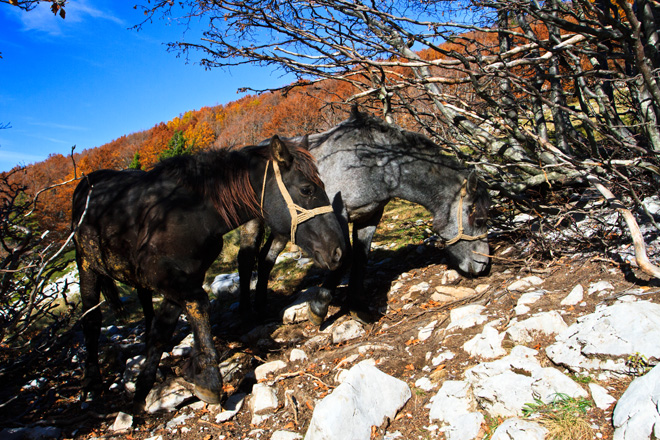 Đir do Zavižana, sjeverni Velebit, foto: Leo Banić