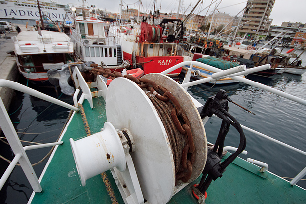 Ribarice u zadarskoj luci, Foto: Leo Banić