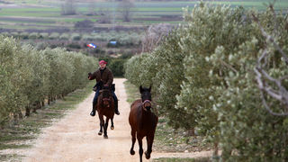 Mediji i uzvanici posjetili Polaču, Vransko jezero i Maškovića han