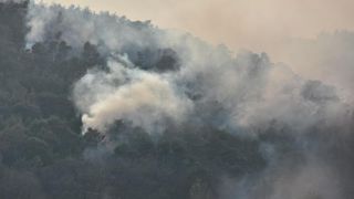 Veliki požar kod Ražanca uz vatrogasce gasili kanader i air tractor