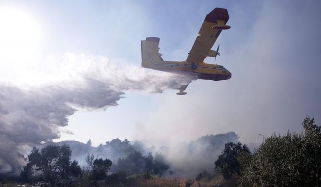 Požar na Plovaniji 11. kolovoza 2013. Foto: Željko Mršić/PIXSELL