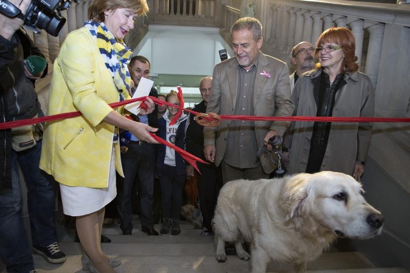 Kulturne šapice Kulturne šapice