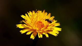 Zaigrani oblaci nad Likom
