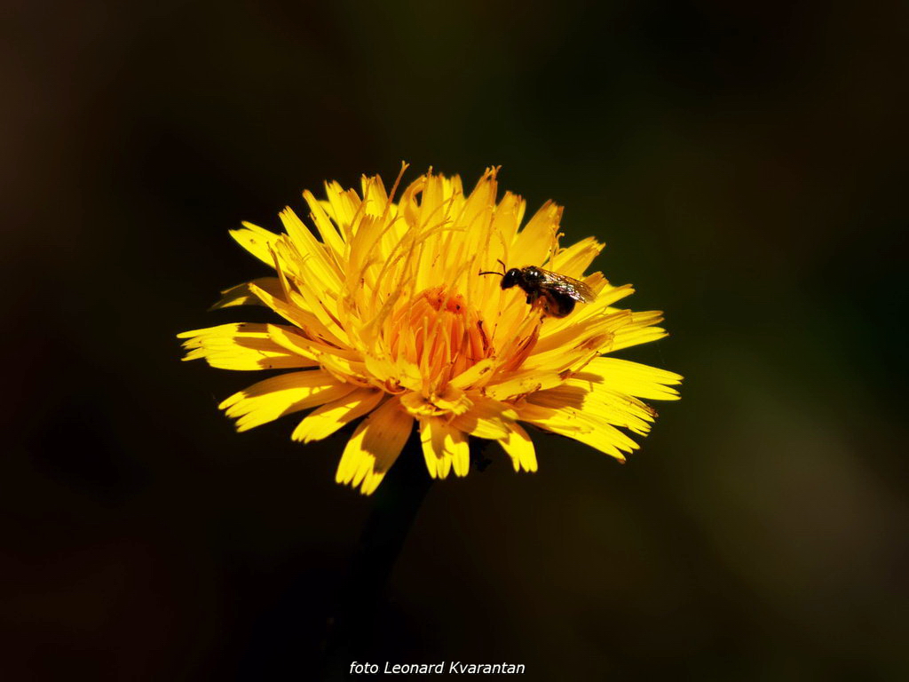 Zaigrani oblaci nad Likom