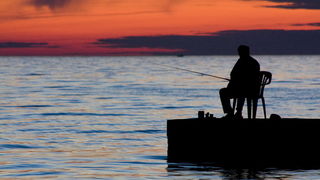 Diklo: umjetnicke fotografije   foto: Angelo Virag