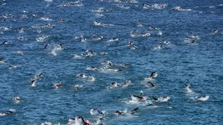 Pula: Triatlonska utrka Iroman 70.3, Foto: Duško Marušić/PIXSELL Pula: Triatlonska utrka Iroman 70.3, Foto: Duško Marušić/PIXSELL