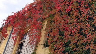 Boje zadarske jeseni. Foto: Mladen Malik