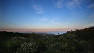 Vis 210812.
Otok Vis jedan je od najudaljenijih hrvatskih otoka koji broji nesto manje od 3 i pol tisuce stanovnika.No u vrijeme turisticke sezone otok postaje omiljena destinacija turistima od kojih je tradicionalno u kolovozu najvise Talijana.Vis ima bo