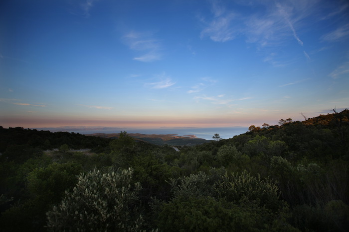 Vis 210812.
Otok Vis jedan je od najudaljenijih hrvatskih otoka koji broji nesto manje od 3 i pol tisuce stanovnika.No u vrijeme turisticke sezone otok postaje omiljena destinacija turistima od kojih je tradicionalno u kolovozu najvise Talijana.Vis ima bo