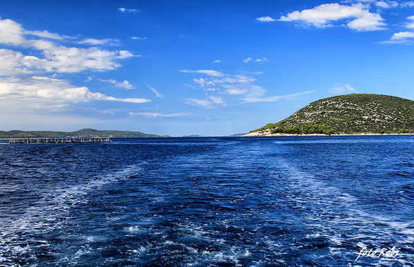 Đir s roniocima po Zadarskom arhipelagu, Foto: Roberto Lerga Đir s roniocima po Zadarskom arhipelagu, Foto: Roberto Lerga