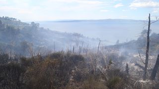 Požar na padinama Biokova Požar na padinama Biokova