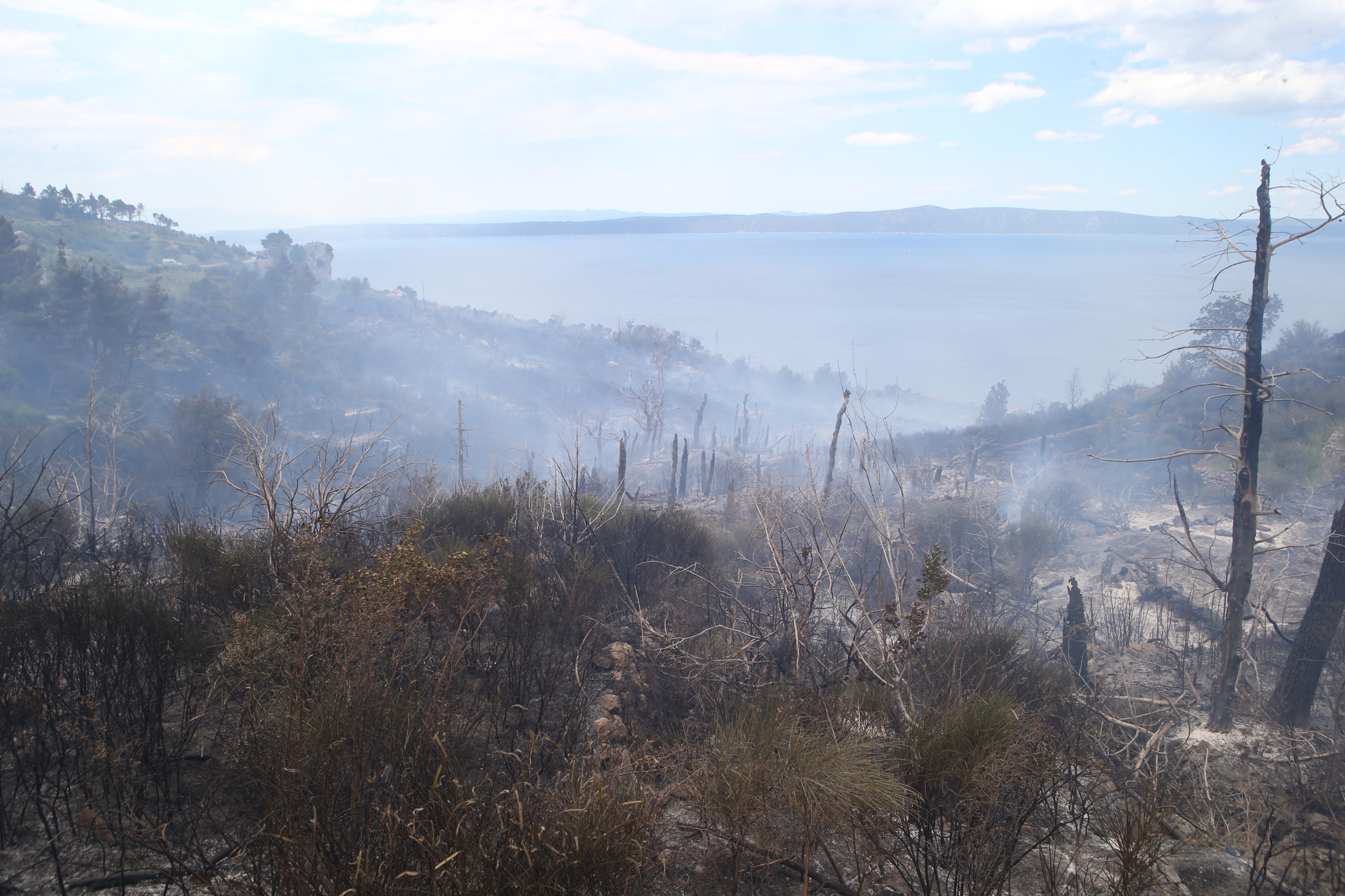 Požar na padinama Biokova Požar na padinama Biokova