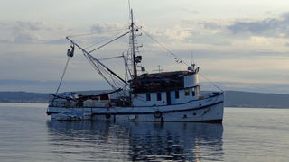 Mišnjak: Nasukana ribarica “Glamoč”