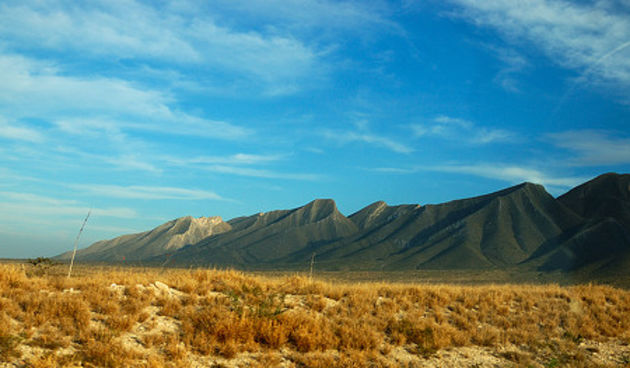 Meksička pustinja (Foto: zooomr.com)
