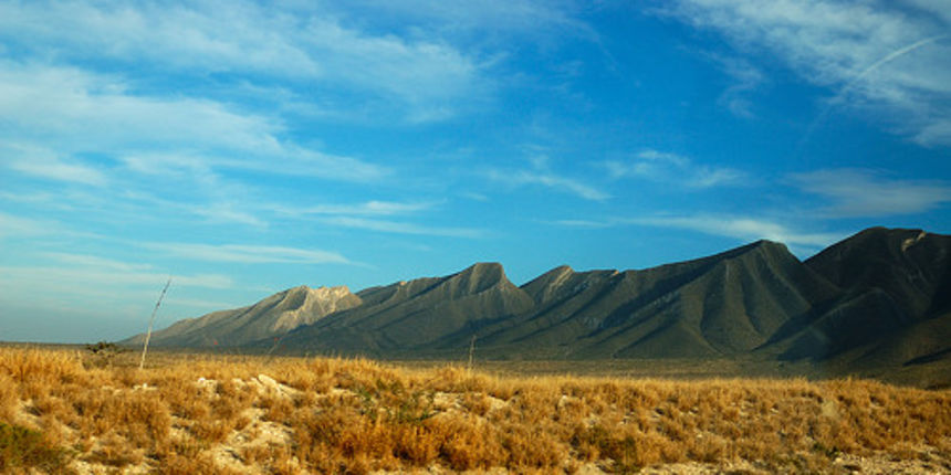 Meksička pustinja (Foto: zooomr.com) Meksička pustinja (Foto: zooomr.com)