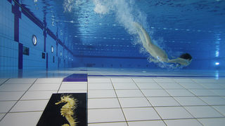 SC Višnjik: Podvodna izložba ronilačkog kluba “Roko” SC Višnjik: Podvodna izložba ronilačkog kluba “Roko”