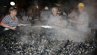 Sukosan: 40. Trka tovarov “Memorijal kenje Vijole” i 6. Noc svicarenja 8. kolovoza 2010. Sukosan: 40. Trka tovarov “Memorijal kenje Vijole” i 6. Noc svicarenja 8. kolovoza 2010.