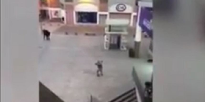 Uhićenje u Parizu, Youtube screenshot