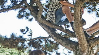 Zagreb, 280812.
Britanski umjetnicki kolektiv Giant Robots koji od danas pa do 9. rujna boravi u Zagrebu izradit ce dosad najvecu privremenu skulpturu od otpadnog drveta na javnom prostoru u Hrvatskoj koja ce na Galeriji Bacva (zgrada Hrvatskog drustva li