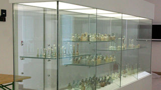 Muzej antičkog stakla (foto: Antonija Gospić)