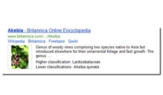 Bing će nuditi odgovore iz Britannice