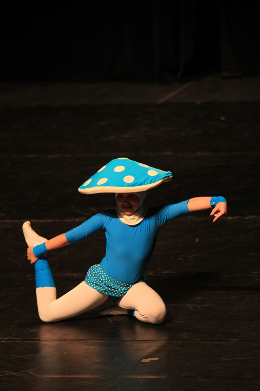 2. Zadarski plesni festival (In Memoriam Nives Šimatović-Predovan)