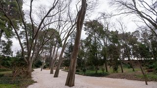 Đir po Perivoju Vladimira Nazora