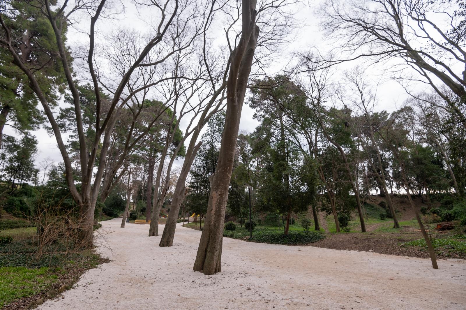 Đir po Perivoju Vladimira Nazora