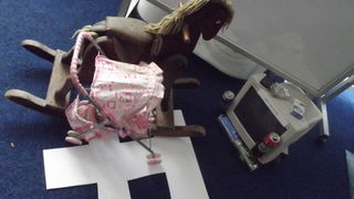 Otvorenje izložbe Klaudije Milin – ”Ružica sam bila, ružica više neću biti”