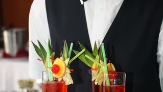 1. Zupanijski junior barmen kup u hotelu Kolovare, Foto: Ivan Stipcevic